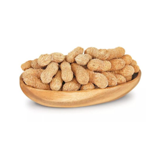 TUZLU KABUKLU FISTIK KG