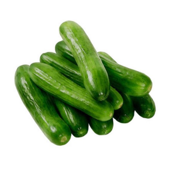 SALATALIK KG
