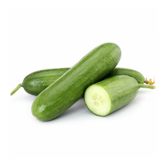 SALATALIK CENGELKOY KG