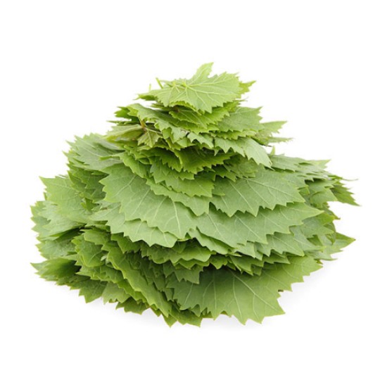 VINE LEAF KG