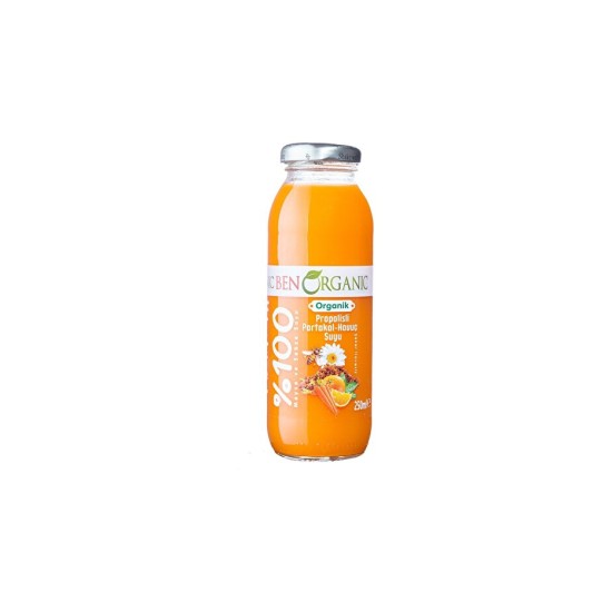 BENORGANIK PORTAKAL SUYU 250 ML