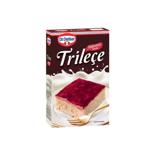 DR. OETKER TRILECE BOGURTLEN 315 GR