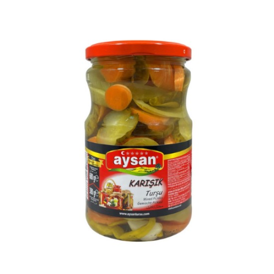AYSAN KARISIK TURSU 680G 
