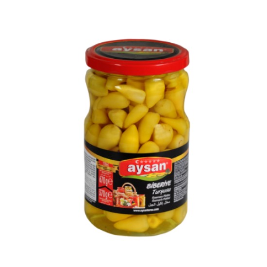 AYSAN BIBERIYE TURSUSU 670GR
