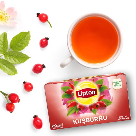 LIPTON KUSBURNU 20 LI