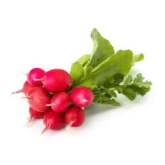 TURP KG