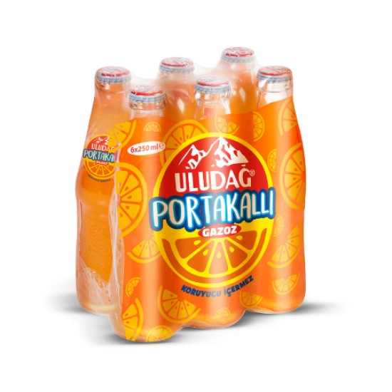 ULUDAG GAZOZ PORTAKAL 6 LI