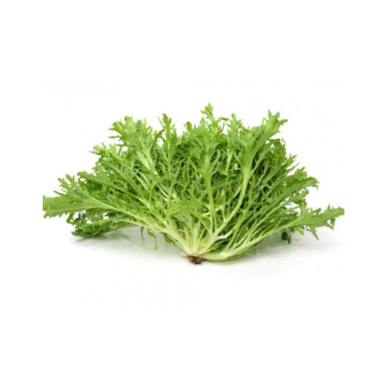 RADIKA