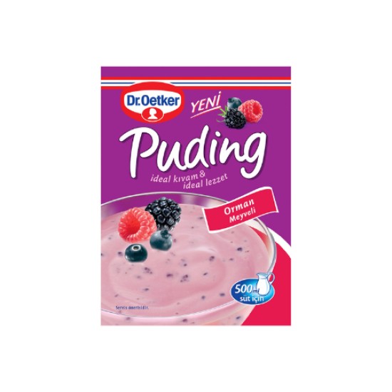 DR OETKER ORMAN MEYVELI PUDING 81 GR