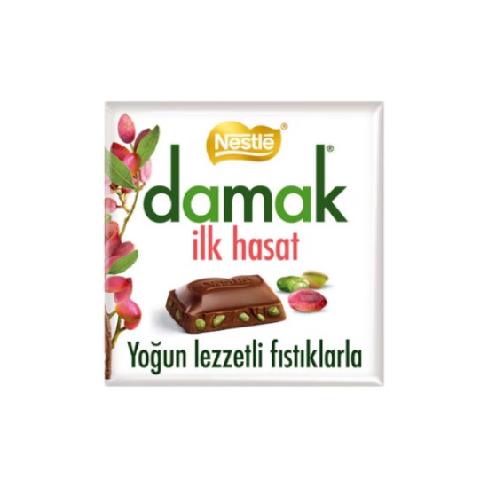NESTLE DAMAK ILK HASAT ANTEP FISTIK CIKOLATA 63 GR
