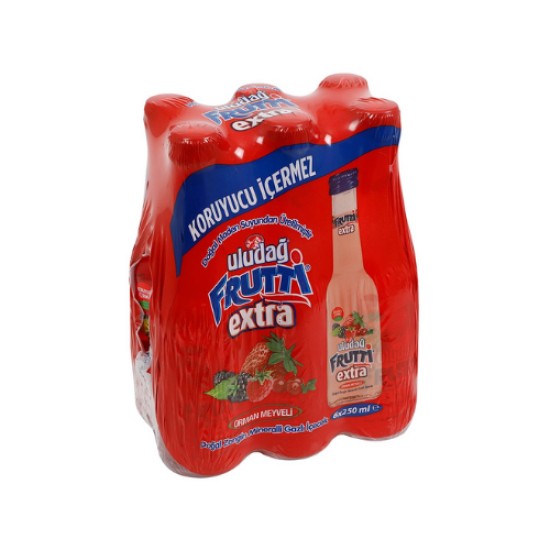 ULUDAG FRUTTI ORMAN MEYVELI 6 X250 ML