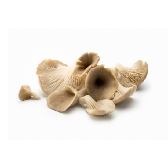 ISTIRIDYE MANTAR 200 GR