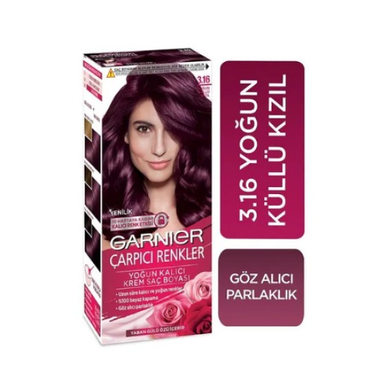 GARNIER HAIR DYE STUNNING COLORS 3-16