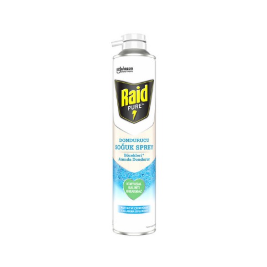 RAID PURE DONDURUCU SOGUK SPREY 350 ML