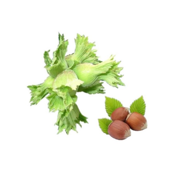 TAZE YESIL FINDIK KG