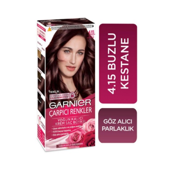 GARNIER HAIR DYE STUNNING COLORS 4-15