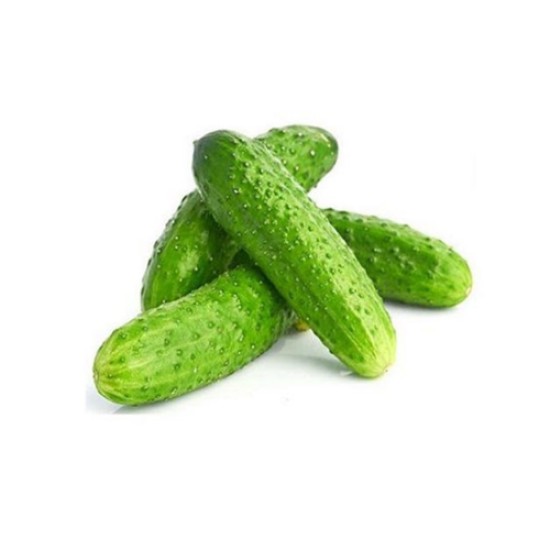 KORNISON SALATALIK KG