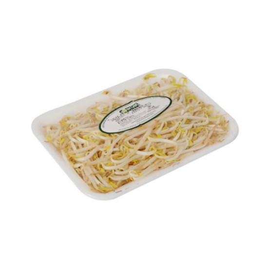 ERUST SOYA FILIZI 125 GR